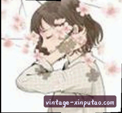 退休程序员 老王